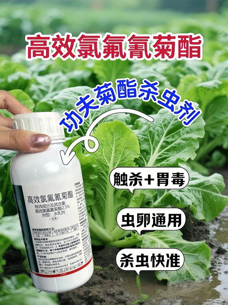 梁平代生中心:农药对供卵代生妈妈的危害